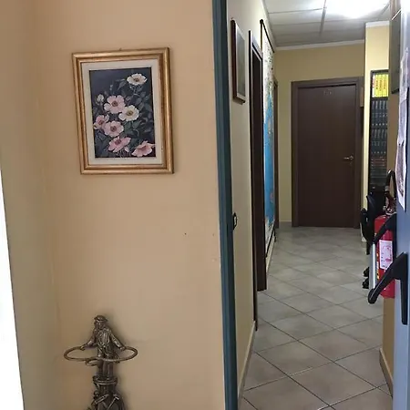 Отель Dora